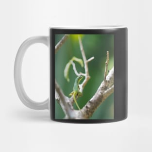 Caribbean Lizard Mug